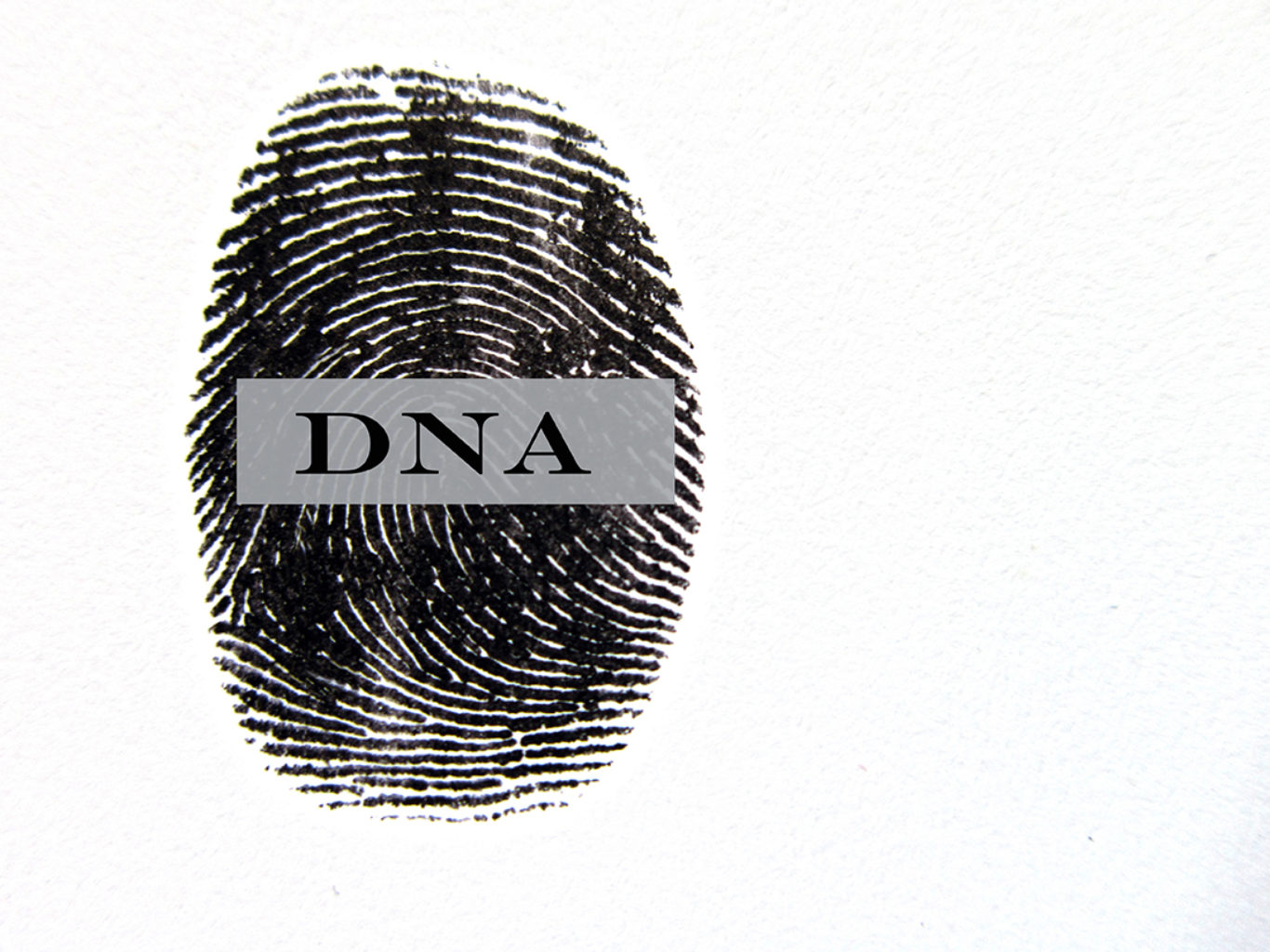 fingerprints, DNA post.the ancestry.ID.special.