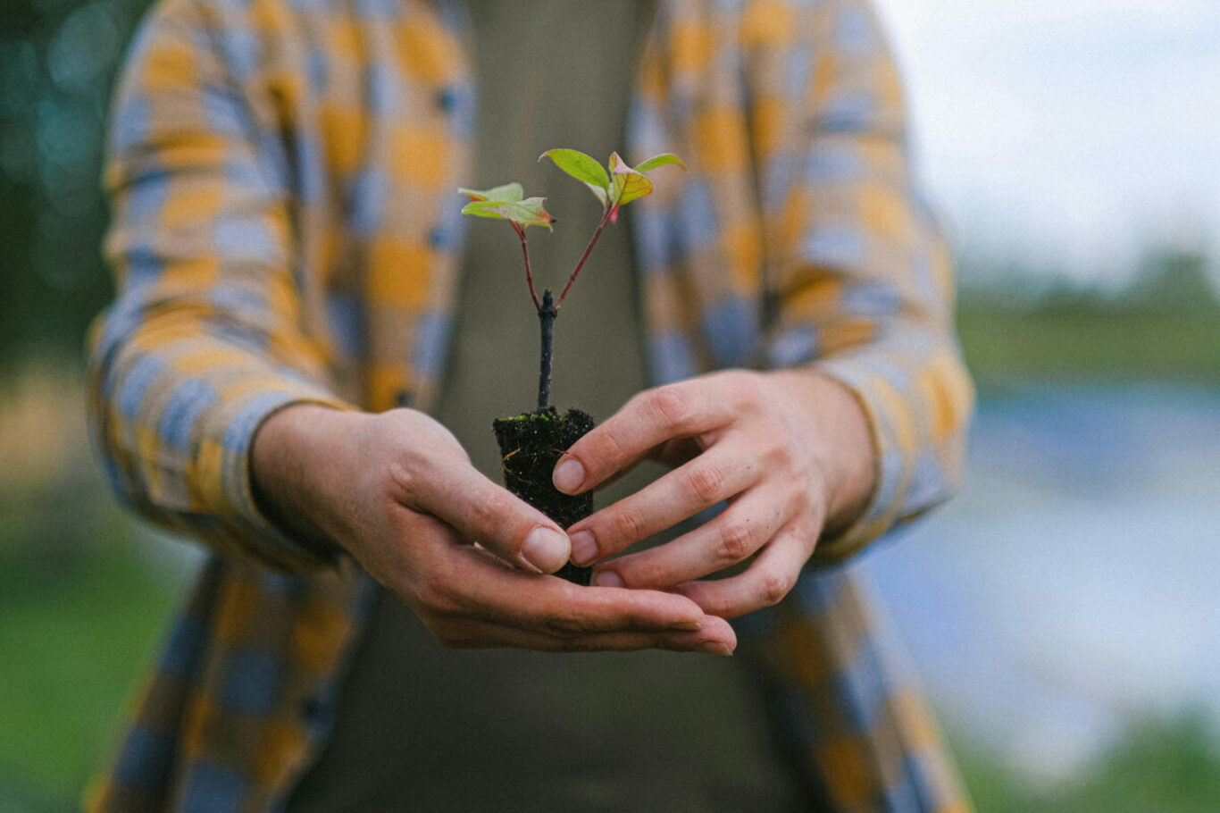 Klimatkompensera som företagare