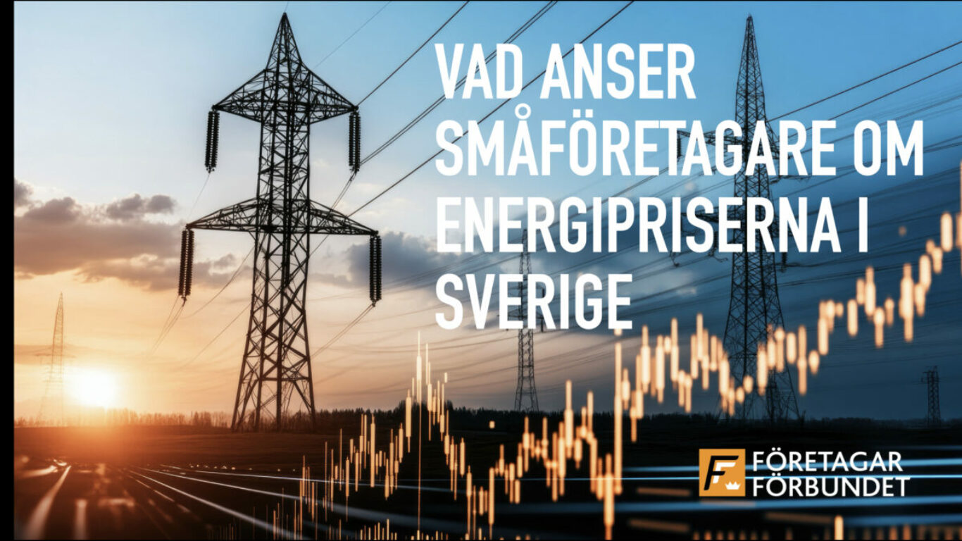 Survey FF feb Energifrågan för småföretagare.001